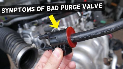 purge valve|8 Noticeable Symptoms of a Bad Purge Valve